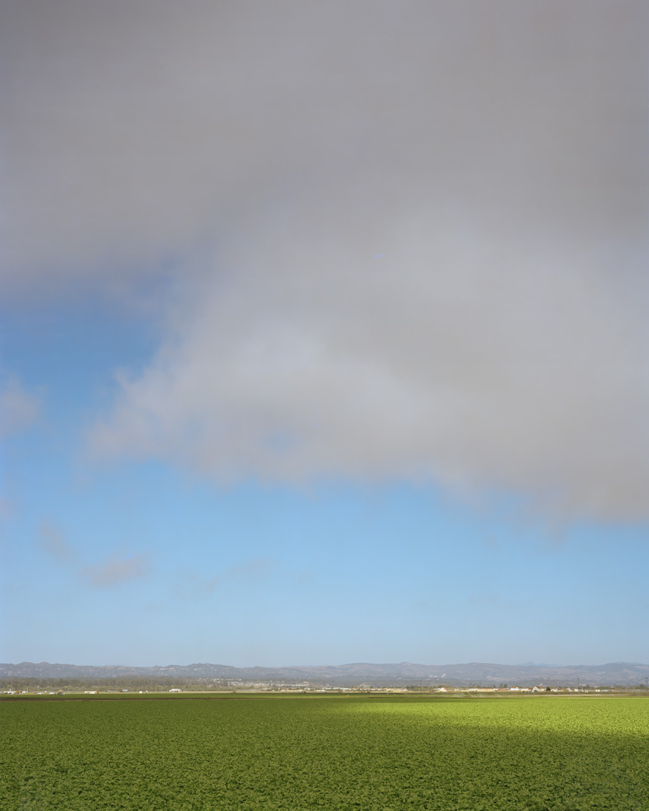 Central California  |  California  |  Michael Gaillard