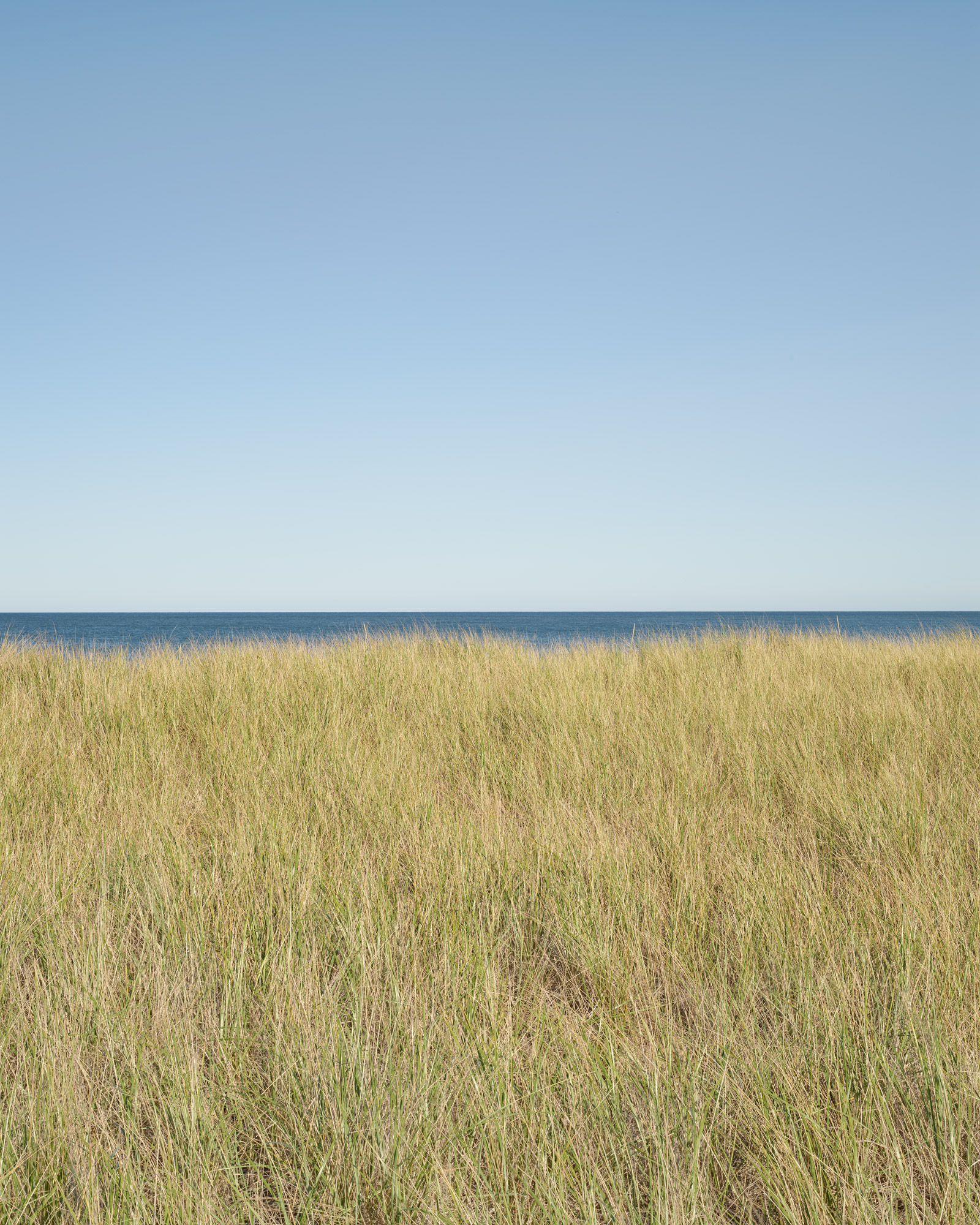 Squam6236
