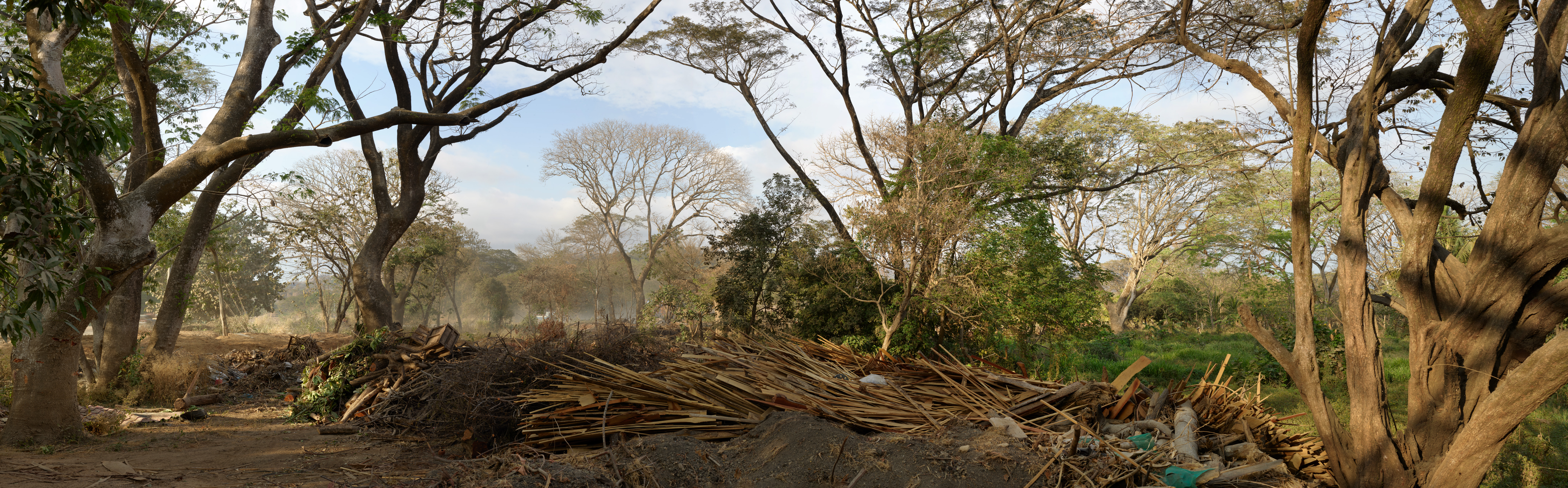 Whose-Woods-These-Are  |  Costa Rica  |  Michael Gaillard